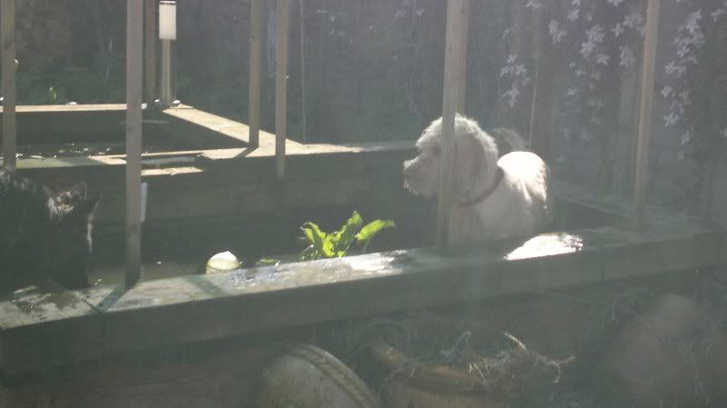 2012-05-13-116.jpg