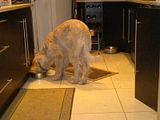 th_22012012349.jpg
