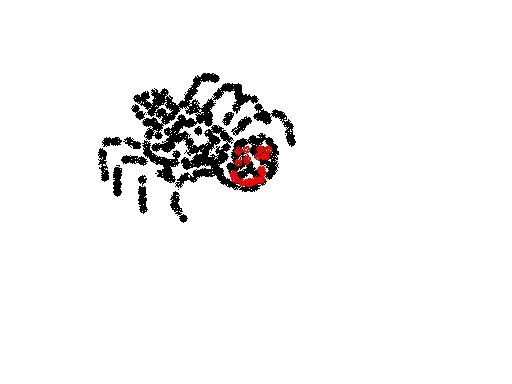spider4.jpg