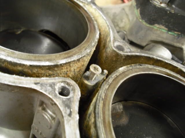 Picture020.jpg