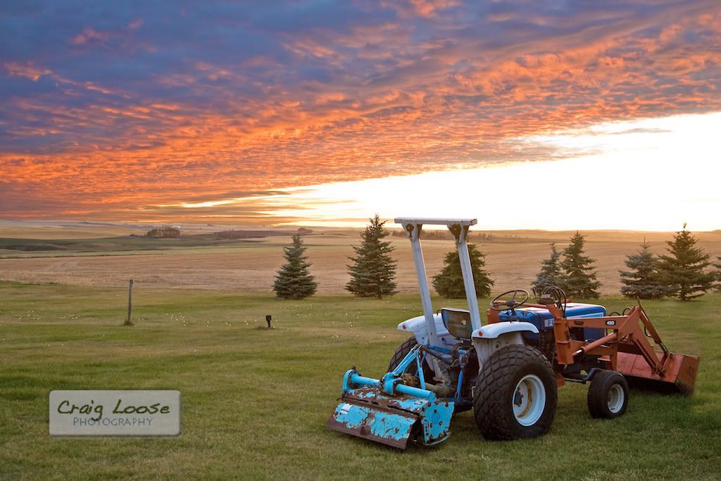 IMAGE: http://i124.photobucket.com/albums/p12/cloose12/2008_10_12-17_51_53-4295.jpg