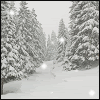 Animated GIF snow falling