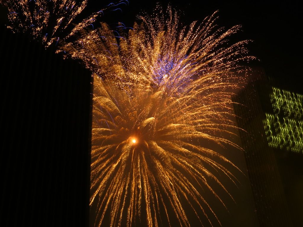 IMAGE: http://i124.photobucket.com/albums/p15/Rachel_Would/IMG_3549_zpsqfkrqpy0.jpg