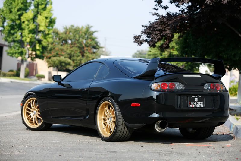 [Image: Supra-12.jpg]