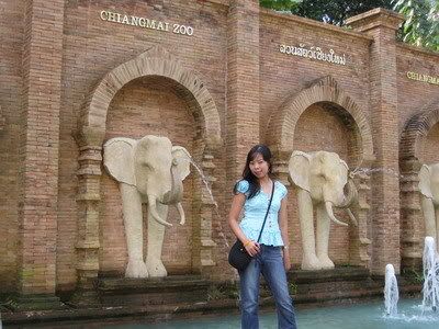 Chaingmai zoo