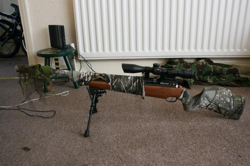 airrifle1.jpg