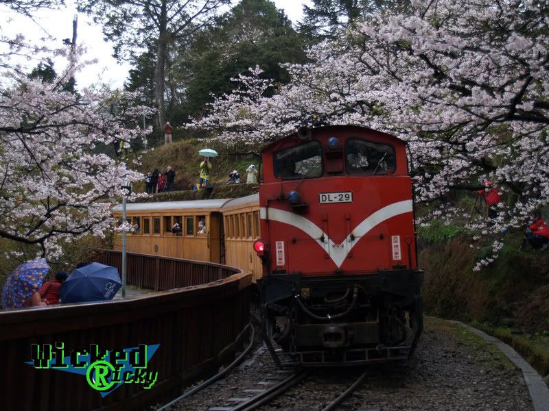 圖檔