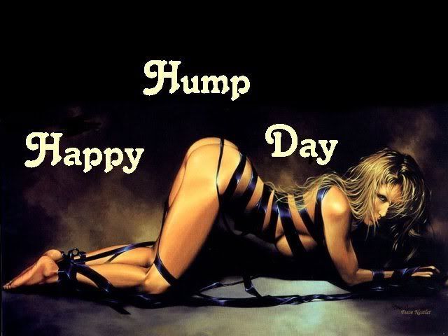 hump-day