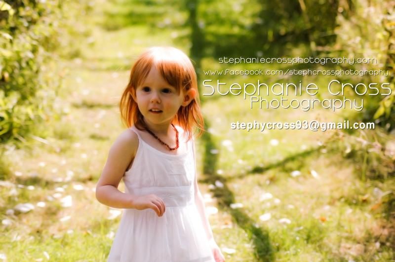 photo borderthree.jpg