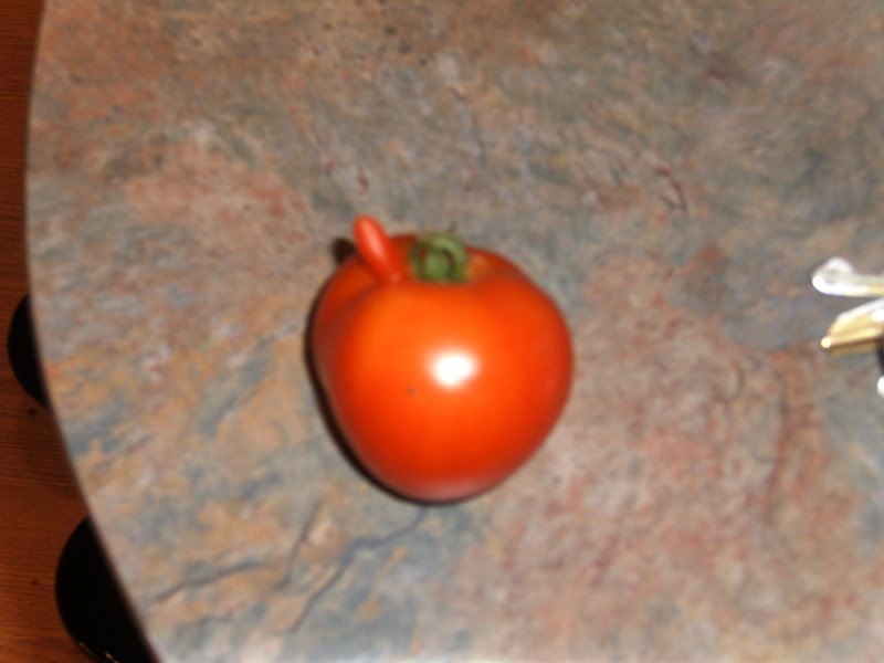 happytomato001.jpg