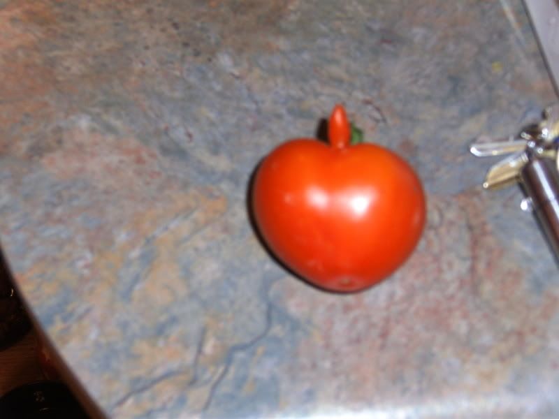 happytomato002.jpg