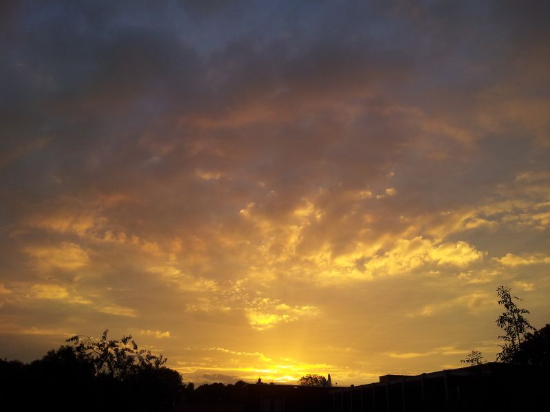 20120928_074913.jpg