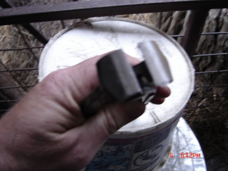 Trimming Sheep Hooves - Sheep