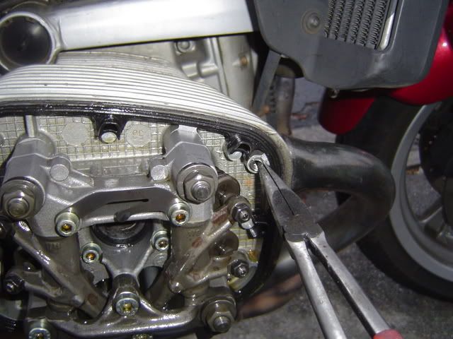 [Image: DSC01293.jpg]