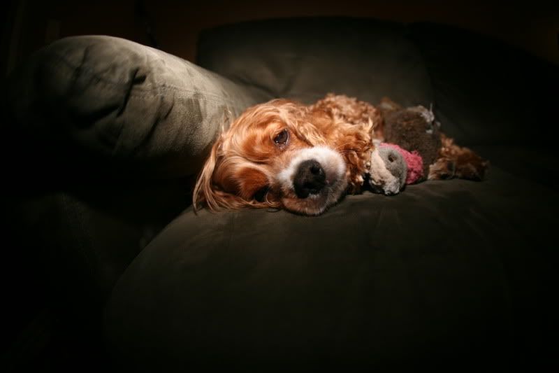 IMAGE: http://i124.photobucket.com/albums/p26/a-a_2007/IMG_6559.jpg