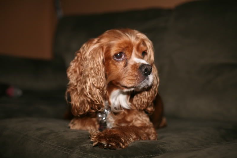 IMAGE: http://i124.photobucket.com/albums/p26/a-a_2007/IMG_6584.jpg