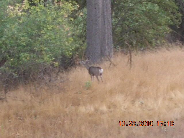 DSCN1753.jpg