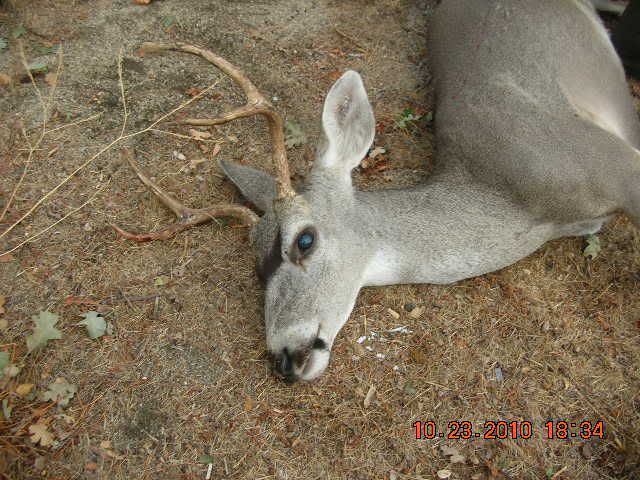 DSCN1756.jpg