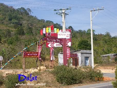 CIMG0306copy1-1.jpg TRanLeGiaTrang picture by thao_viet89_1