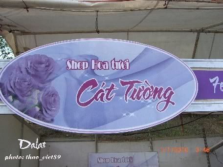 dalat,festival,hoa,thao_viet89