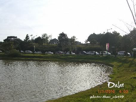 dalat,festival,hoa,thao_viet89