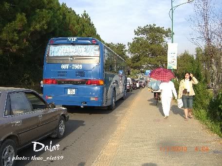 dalat,festival,hoa,thao_viet89