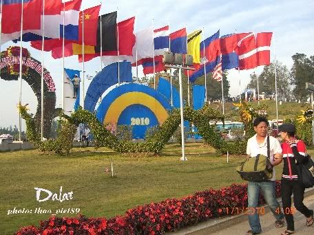 dalat,festival,hoa,thao_viet89