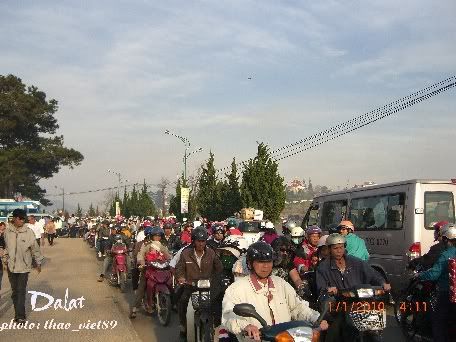 dalat,festival,hoa,thao_viet89
