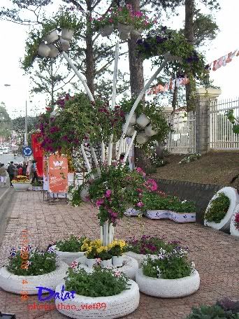 dalat,festival,hoa,thao_viet89