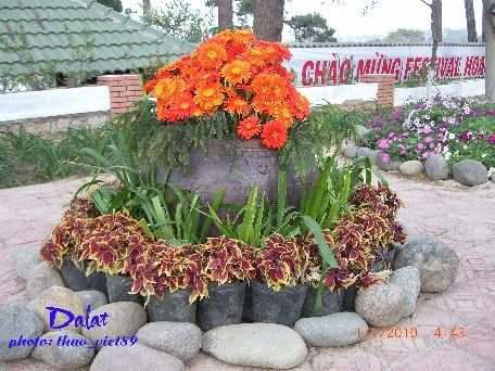 dalat,festival,hoa,thao_viet89