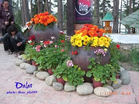 dalat,festival,hoa,thao_viet89