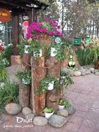 dalat,festival,hoa,thao_viet89