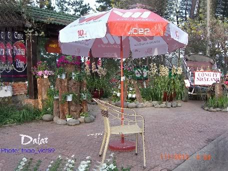 dalat,festival,hoa,thao_viet89