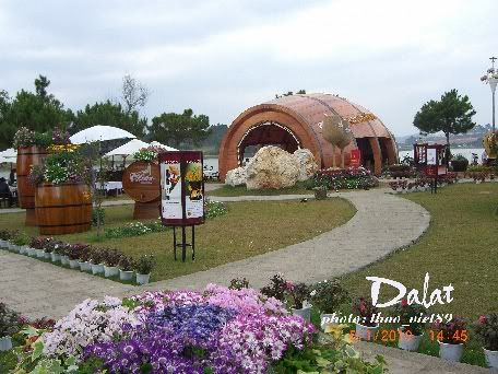 dalat,festival,hoa,thao_viet89