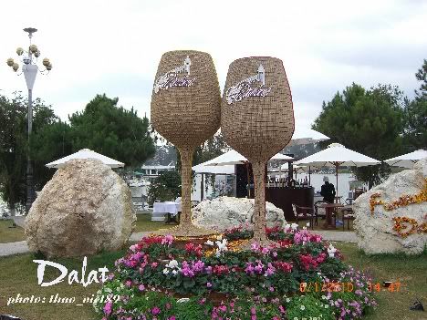 dalat,festival,hoa,thao_viet89