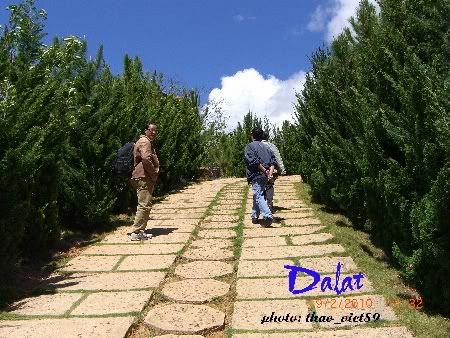 dalat,thao_viet89,hoa,tranlegiatrang