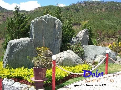 dalat,thao_viet89,hoa,tranlegiatrang