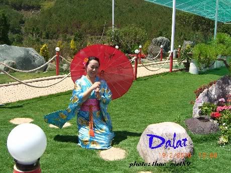 dalat,thao_viet89,hoa,tranlegiatrang