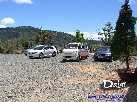 dalat,thao_viet89,hoa,tranlegiatrang