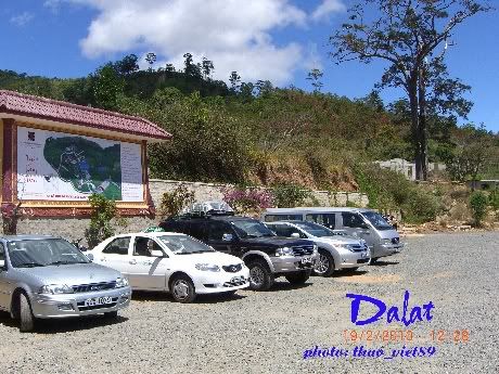 dalat,thao_viet89,hoa,tranlegiatrang