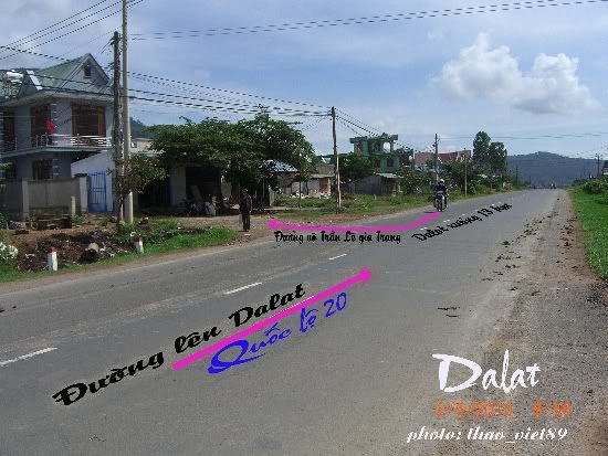 dalat,thao_viet89,hoa,tranlegiatrang