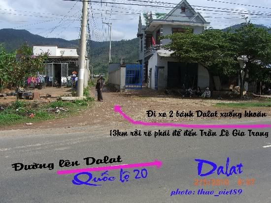 dalat,thao_viet89,hoa,tranlegiatrang