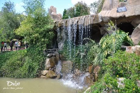 DSC_0124copyjpg1.jpg