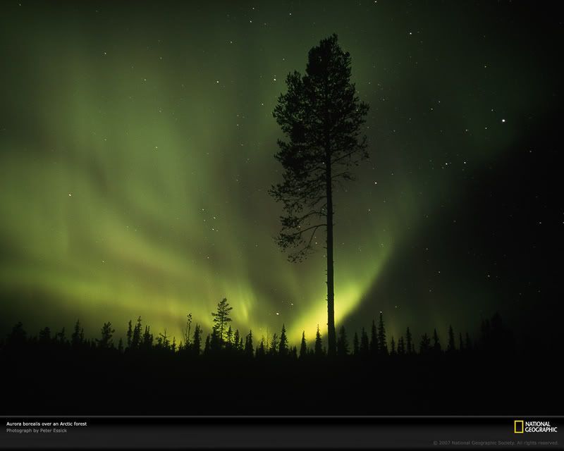 aurora-borealis-arctic-circle.jpg aurora borealis image by WaniDaus
