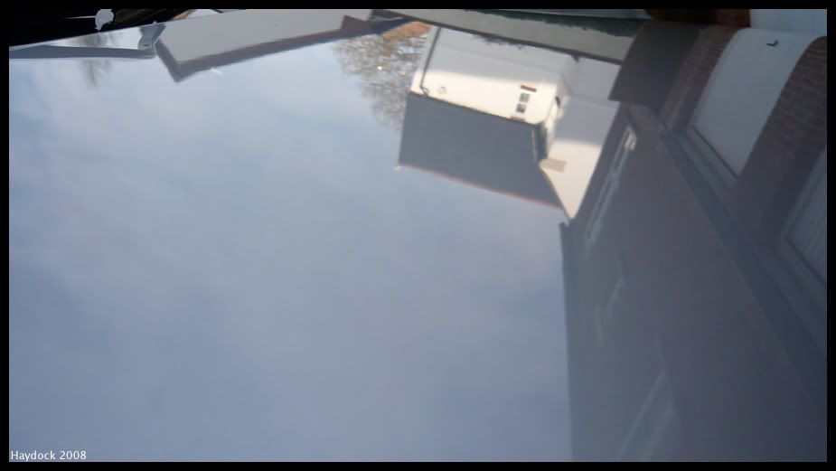 DodoQDTrialDec200812.jpg