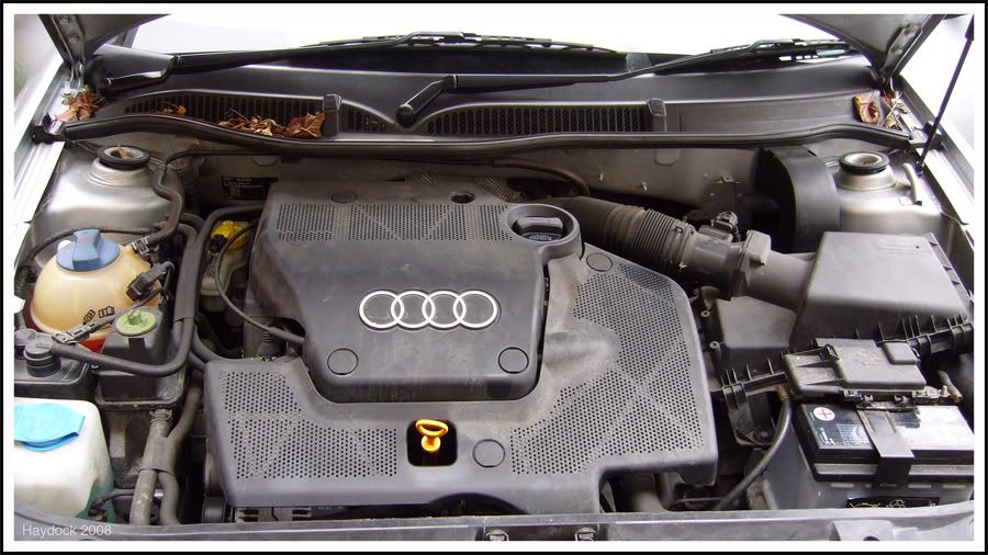 A3DetailJan2008010.jpg