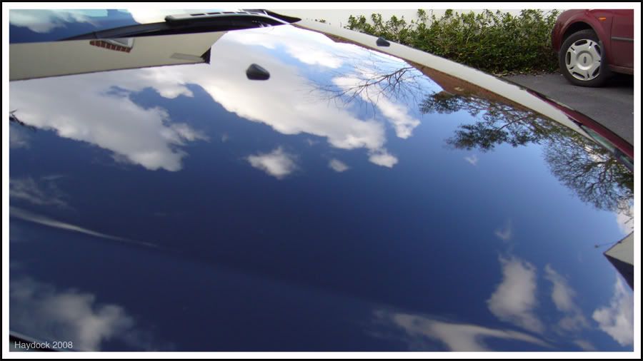 Pug307DetailApril2008036.jpg