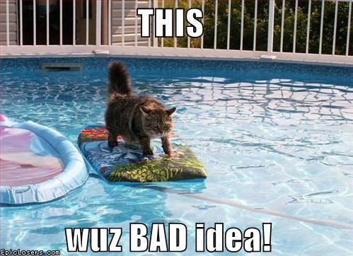 bad_idea_pool_funny_cat_epiclosersc.jpg