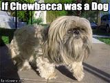 epic chewbacca