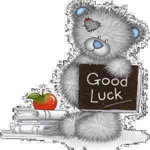 good luck school bear Pictures, Images and Photos